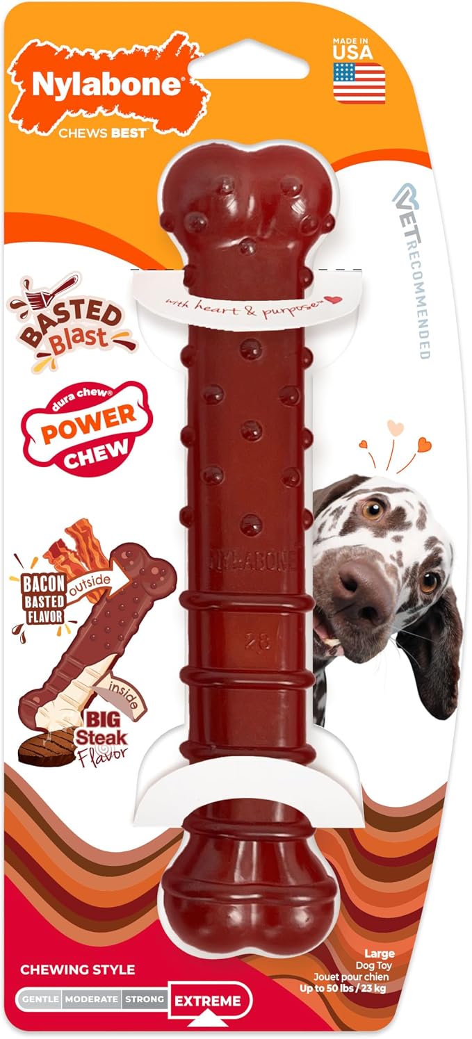 Nylabone Textured Bone Power Chew Toy - Image 12