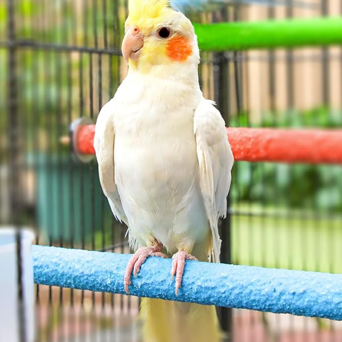 Hamiledyi 4 PCS Parrot Perch Stand Toy 7.9x0.8inch Bird Cage Perch Natural Paw - Image 3