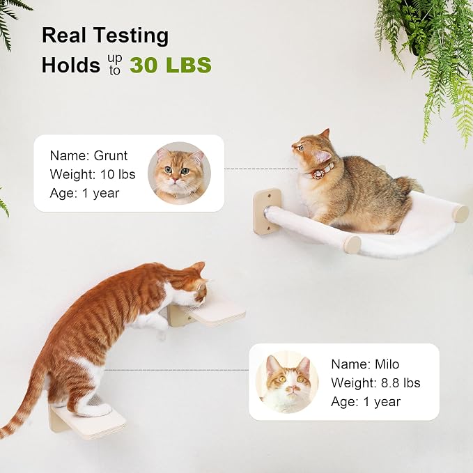 FUKUMARU Cat Wall Hammock with Two Steps Set, Modern Cat Climbing Shelves - Image 3