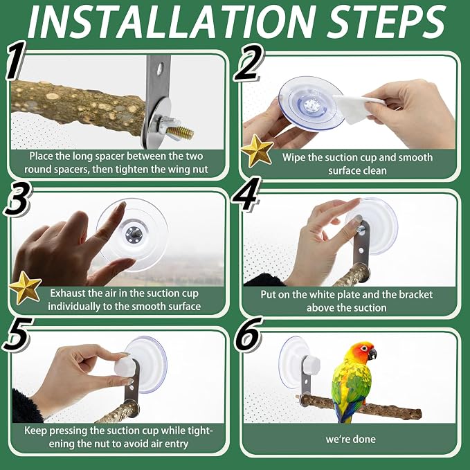 2 Pcs Natural Bird Perch Stand - Image 5