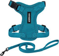 Voyager Escape-Proof Step-in Lock Cat Harness & 5ft Neoprene-Handle Leash Set by BestPetSuppliesLLC