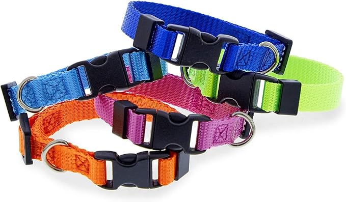 Okuna Outpost Puppy Collars - Image 5
