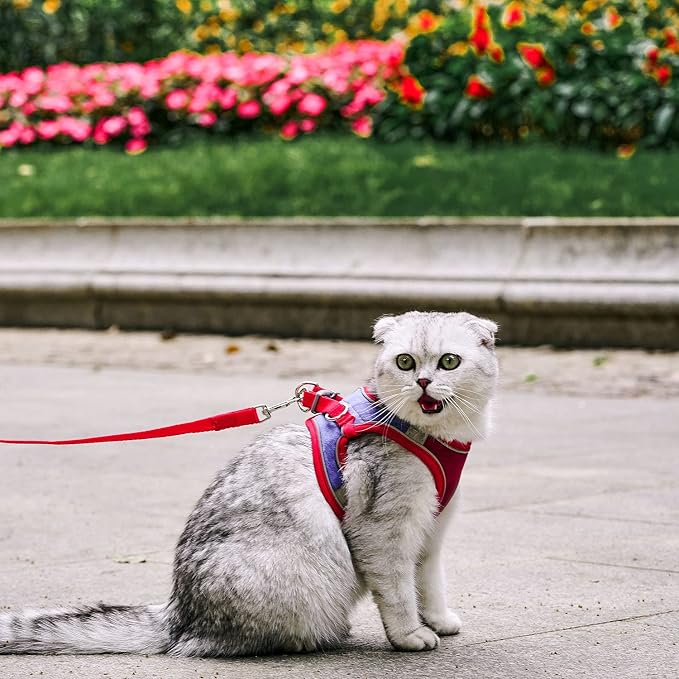 JSXD Cat Harness, Leash and Collar Set, Escape Proof Kitten Vest Harness - Image 3