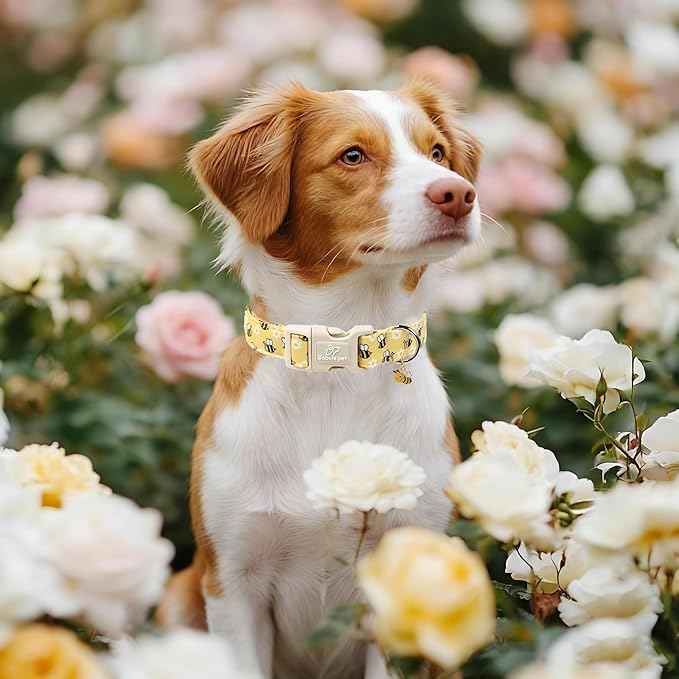 Bee & Daisy Dog Collar for Medium Dogs