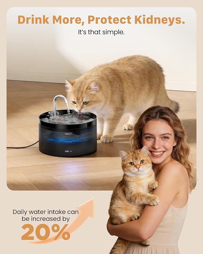 Cat Water Fountain: Dog Bowl Fountains - Image 6