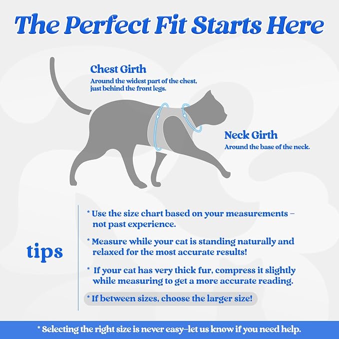 rabbitgoo Cat Harness and Leash Set - Image 2