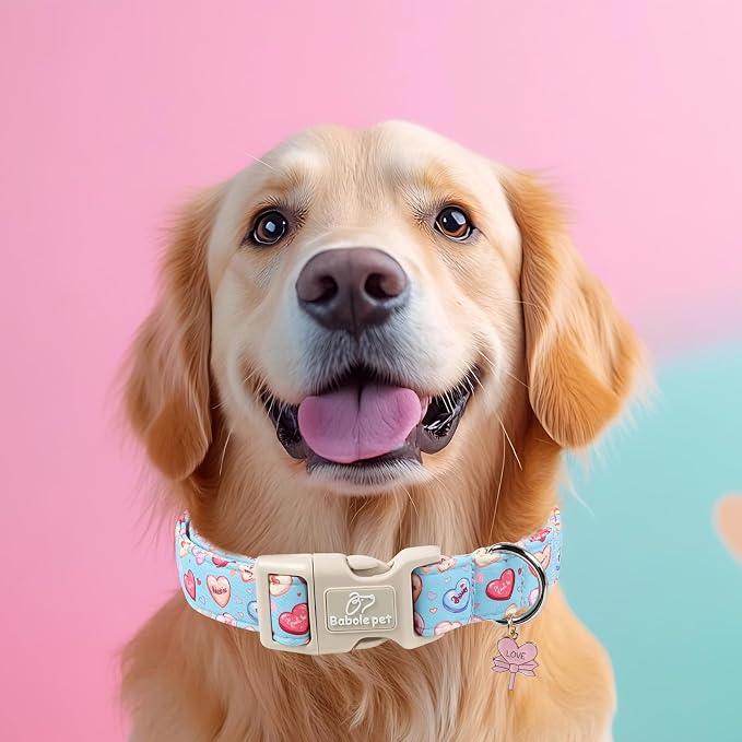 Valentines Dog Collar for Large Dogs - Image 5
