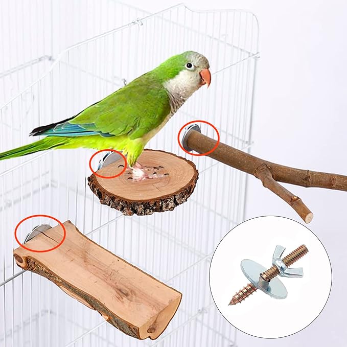 Bird Cage Hardware - Image 6