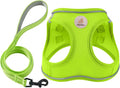 Hipubby Dog Harness and Leash Set, No Pull Soft Mesh Puppy Harness by Hipubby