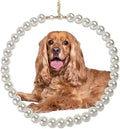 Chunky Pearl Dog Collar Large Breed, Adjustable Dog Necklace, Beaded Dog Collar by MLUOVI