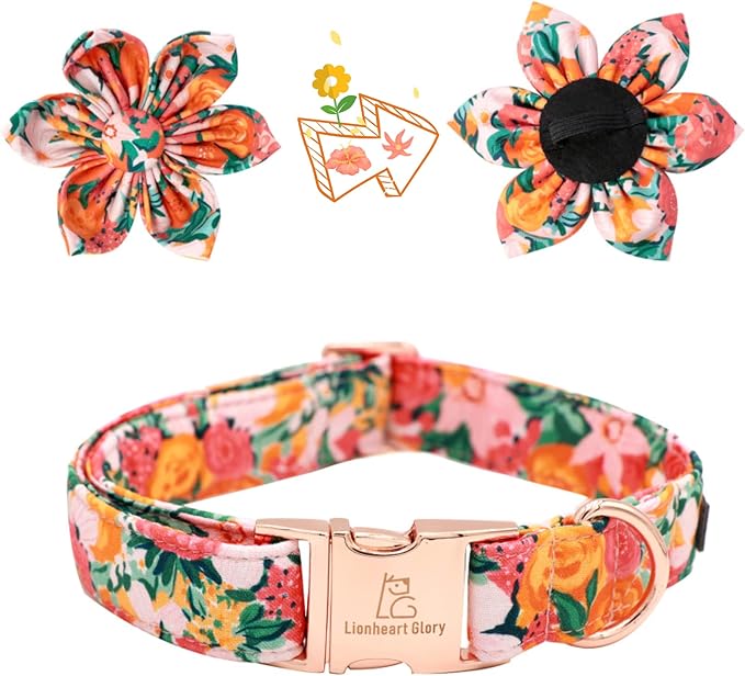 Lionheart Glory Dog Collar, Dog Collar - Image 2