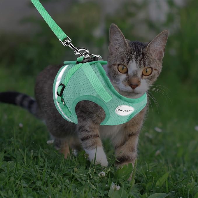 Cat Harnesses and Puppy Harness - Image 5