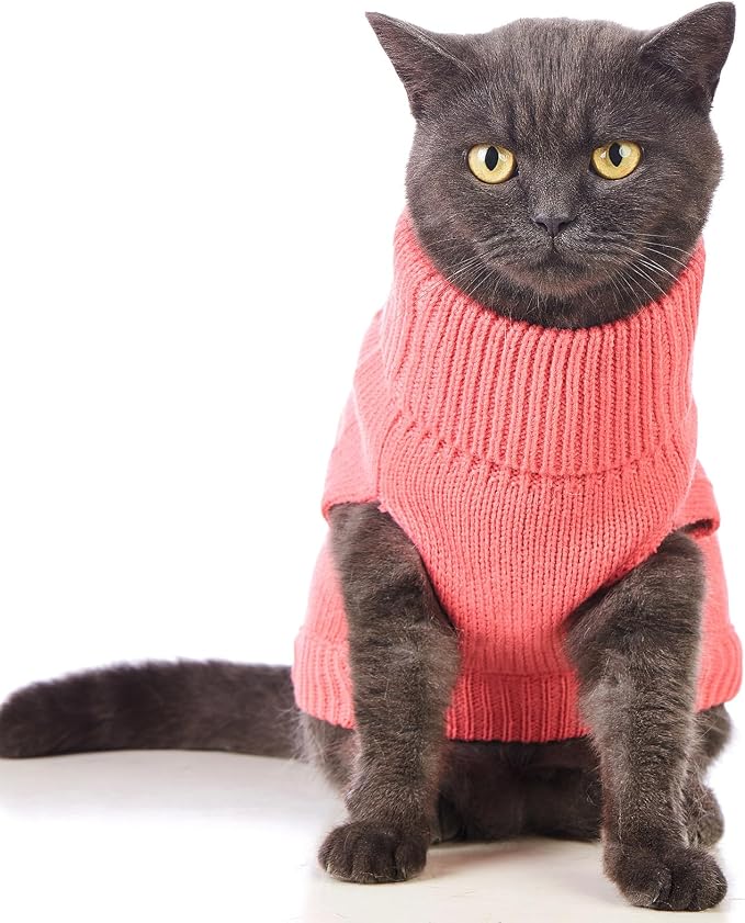 Stretchy Cat Sweater - Image 2