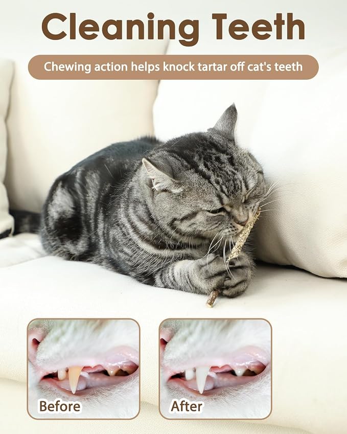 Tocirelo Cat Toys Silvervine Sticks - Image 3