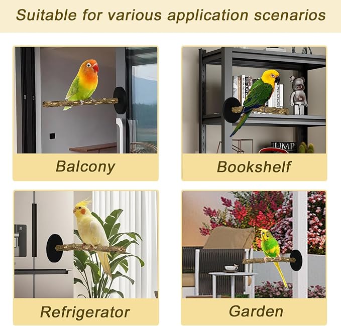 ASOCEA Bird Perch Bird Stand - Image 5