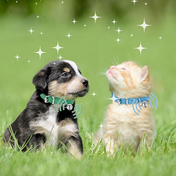 XXS Dog Collar for Teacup Adjustable Teacup Dog Collar for Small Medium Large - Image 5