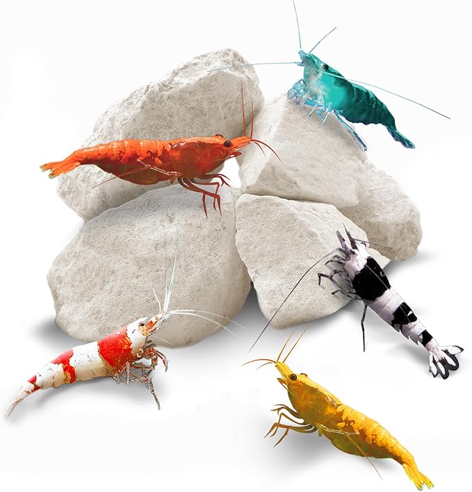 SunGrow Shrimp Rocks, Magnesium Rocks by SunGrow