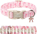 Girl Dog Collar for Puppy Small Dogs by Babolepet