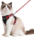 rabbitgoo Cat Harness and Leash by rabbitgoo