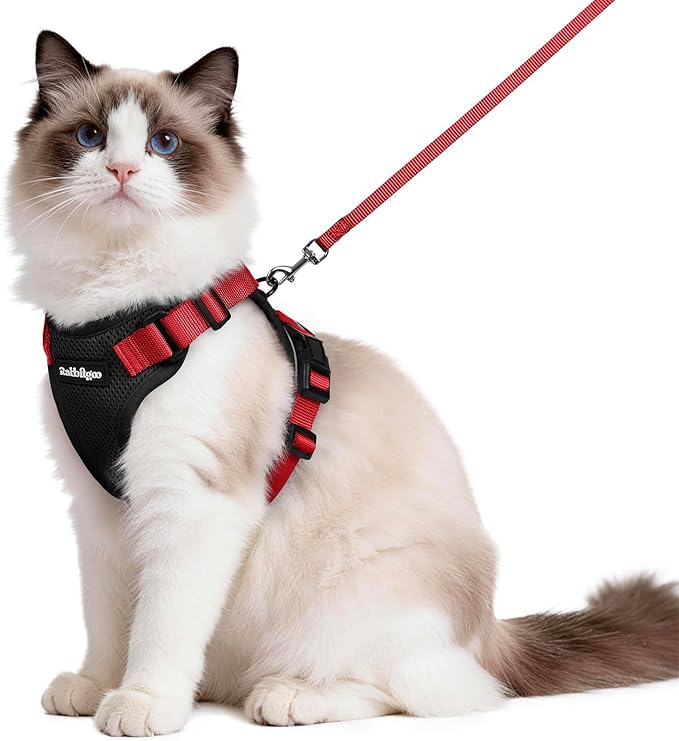 rabbitgoo Cat Harness and Leash by rabbitgoo