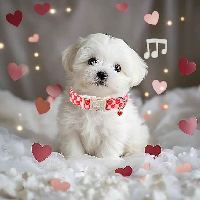 Valentines Dog Collar for Large Dogs