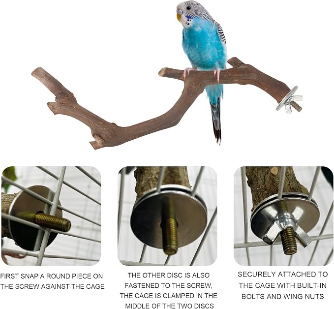 5PCS Bird Perch Stand Natural Wooden Parrot Stand Branch, 3 Grape Wood Perch - Image 3