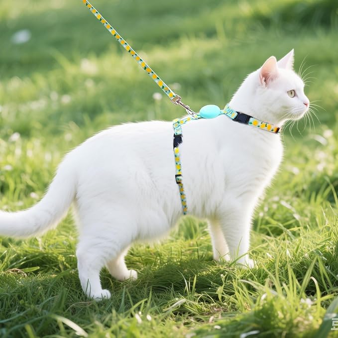 PUPTECK Adjustable Cat Harness and Leash Set Escape Proof Kitten Strap Collar - Image 6