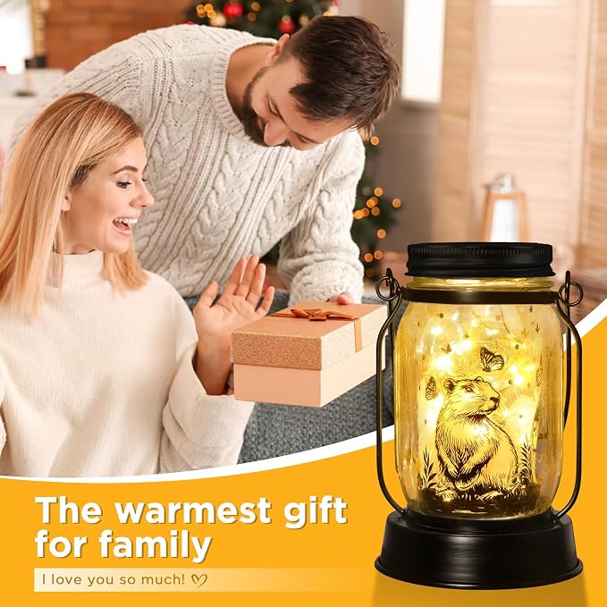 kyoryuger Capybara Gifts for Women/Men Capybara Solar Lanterns Mom Grandma - Image 3