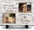 Multicolored Pet Memorial Stones by KILYHOME