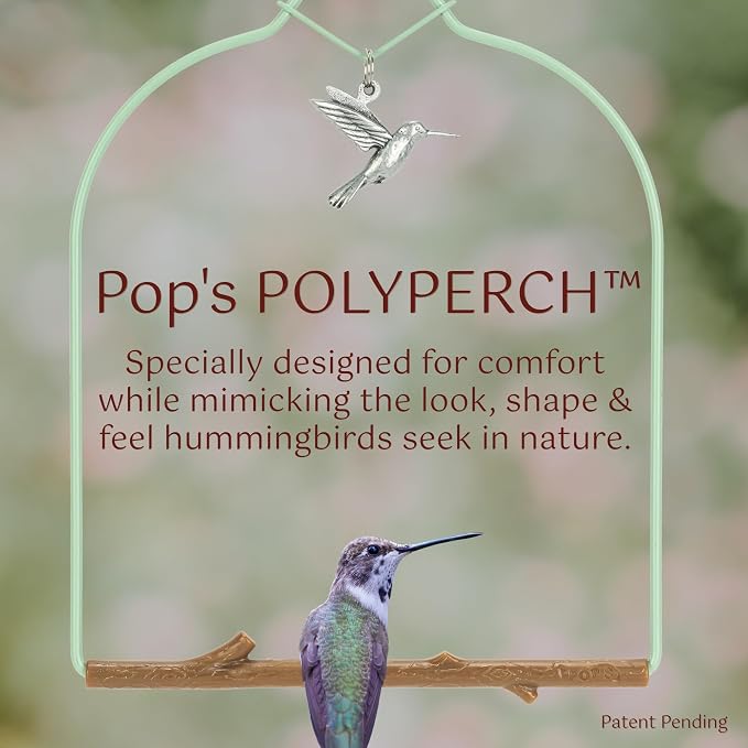Pop's Birding Hummingbird Swing, USA Made Original Charm Humming Bird Swing - Image 2