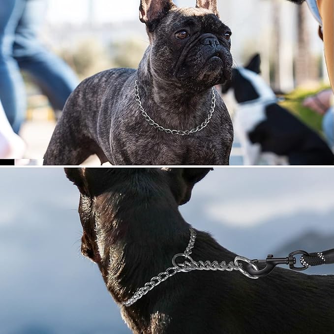 TagME Chain Choke Collar for Dogs, Adjustable Weather Proof Necklace for Medium - Image 3