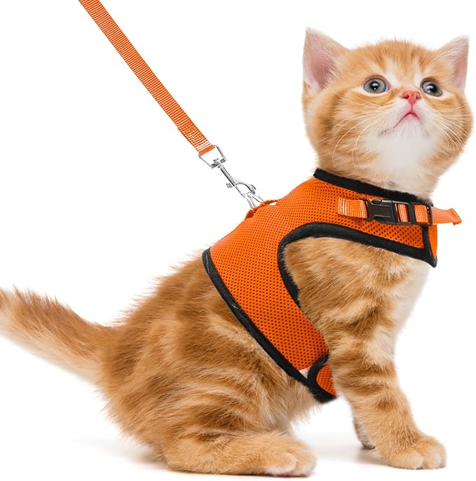 PUPTECK Soft Mesh Cat Vest Harness and Leash Set Puppy Padded Pet Harnesses by PUPTECK