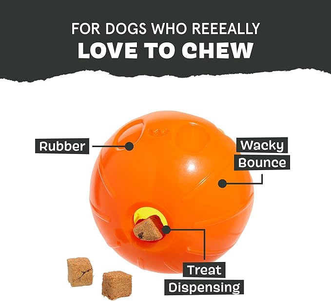 Barkbox Pumpkin Prodigy Dog Toy | Treat-Dispensing Rubber Dog Toy - Image 4