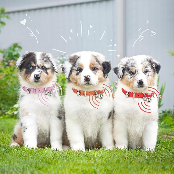 S Dog Collar for Small Dogs Adjustable Dog Collars Cat Collar for Small Medium - Image 6