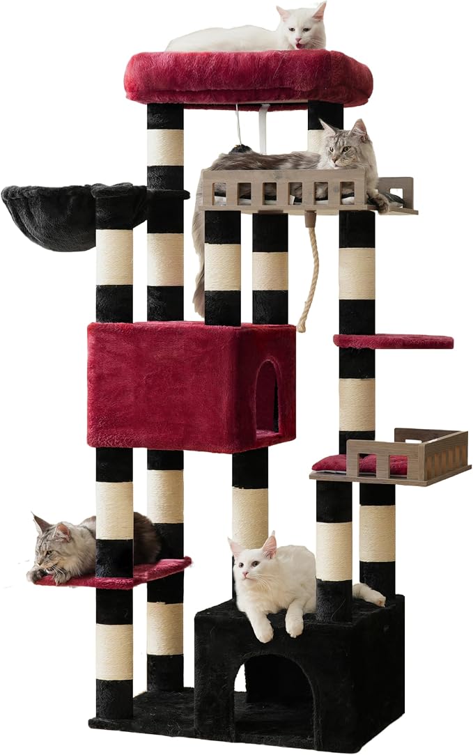 Maine Coon Cat Tree, Heavy Duty Cat Tree - Image 9