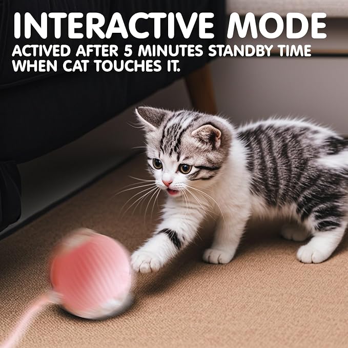 Rocfish Durable Interactive Cat Toys - Image 6