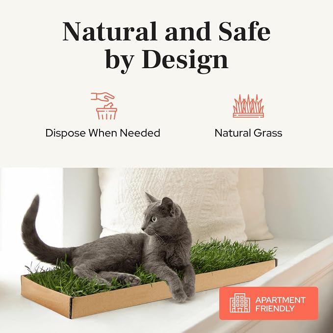 Kitty Lawn Real Grass Cat Window Perch - Image 7