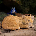 Garden Decor Cat Statue Outdoor Statue, Cat Figurines Garden Statues & by GardenWhisper
