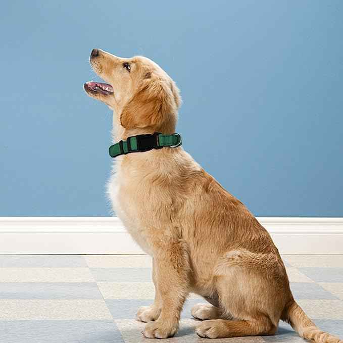 Reflective Dog Collar, Adjustable Soft Neoprene Padded Nylon Pet Collars