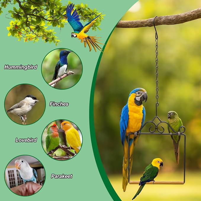Hummingbird Swings and Perches Hummingbird Perch Humming Bird Swing - Image 3