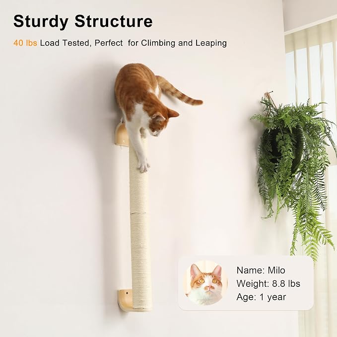 FUKUMARU Cat Wall Scratcher, Sturdy Sisal Climbing Tree - Image 4