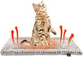 Self Heating Cat Pad Self Warming Cat Bed 22" x 17" Thermal Mat Extra Warm Pet by MoraPets