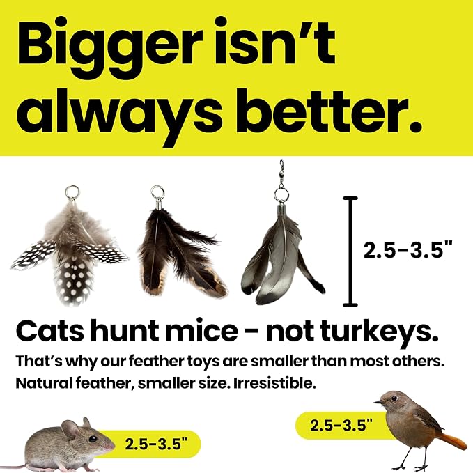 Feather Toys Replacements - Image 4