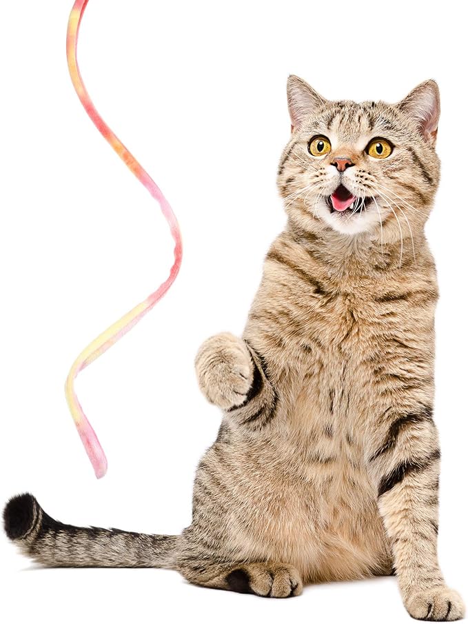 Sumind 3 Pieces Jungle Cat Wand Cat Teaser Charmer Interactive Fun Toys Wand - Image 3