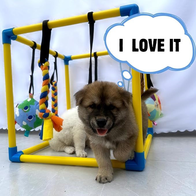 Dewonch Puppy Play Gym with 8 Hanging Toys, Small Dogs Indoor Jungle Gym - Image 6