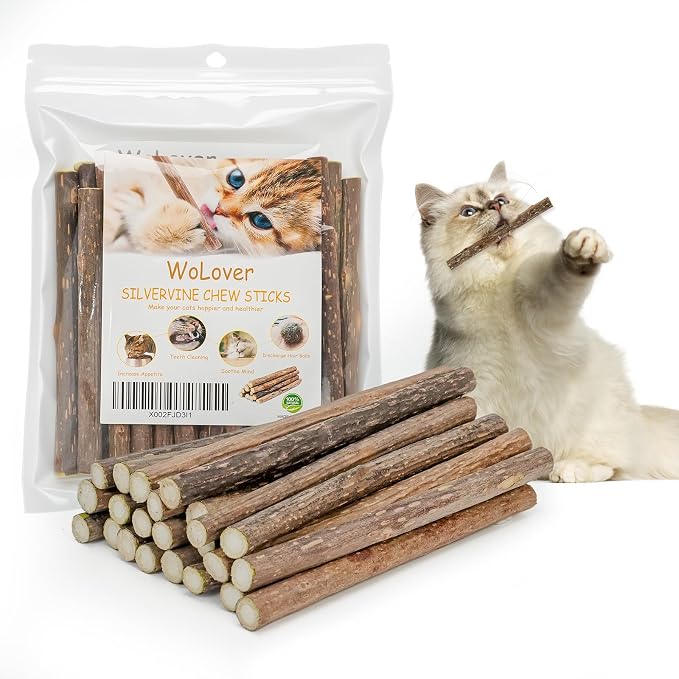 Silvervine Sticks for Cats, Natural Catnip Matatabi Chew Sticks Teeth Molar by WoLover
