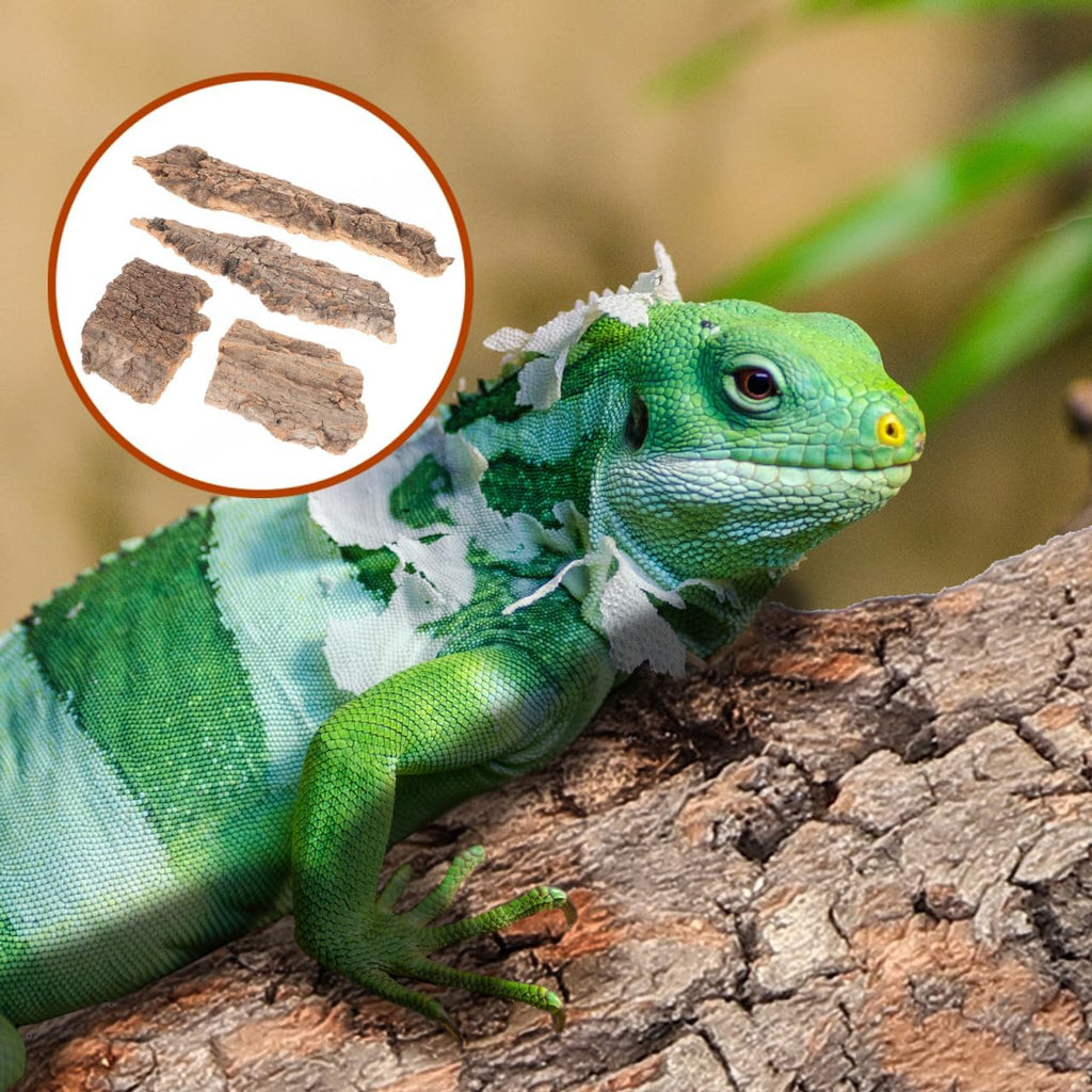IMIKEYA 4Pcs Natural Cork Bark Reptile Hides - GlobalHabitat Supply