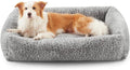 JOEJOY Dog Bed Medium Size Dog, Removable Washable Cover Orthopedic Soft Faux by JOEJOY