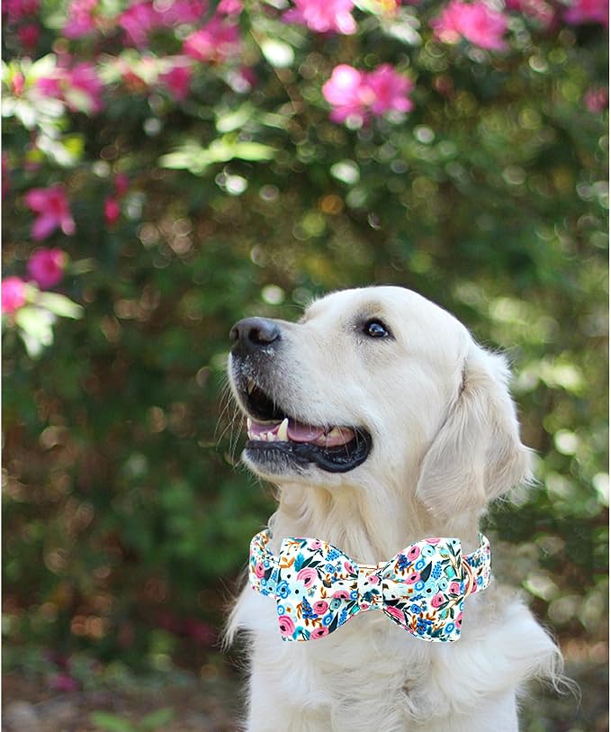 Lionheart glory Dog Collar Bow Collar Floral Dog Collar - Image 5