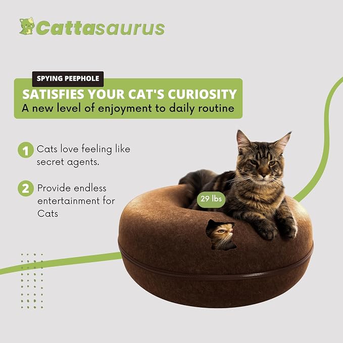 Cattasaurus Peekaboo Cat Cave Donut - Image 3